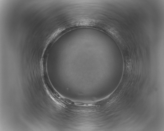 X0000059070678200510101051