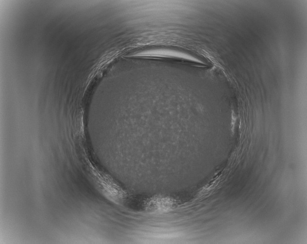 X0000059070685200510101051
