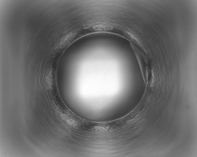 X0000059070690200510101051