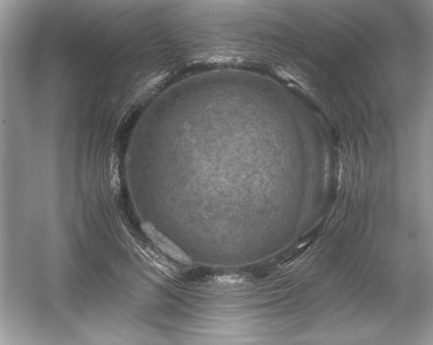 X0000059070692200510101051