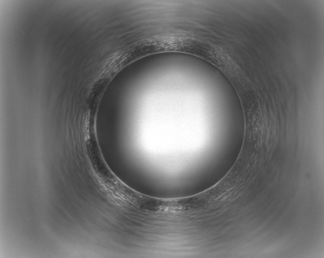 X0000059070694200510101051