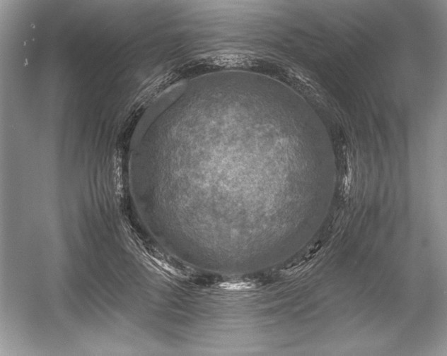 X0000059070696200510101051