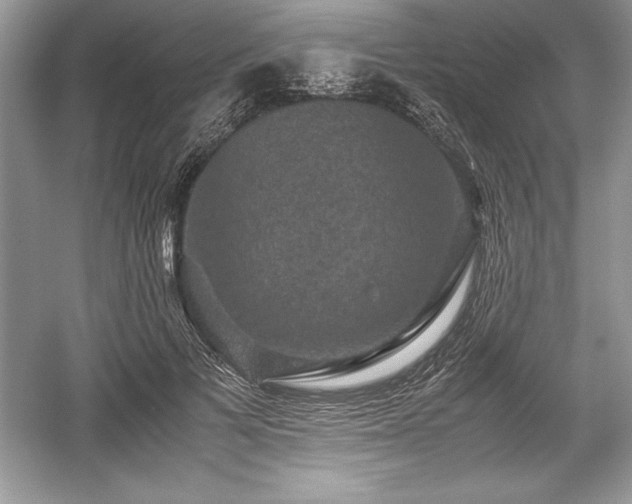 X0000059070697200510101051