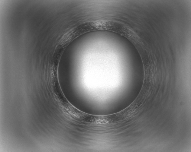 X0000059070702200510101051