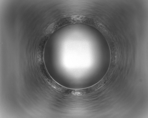 X0000059070706200510101051