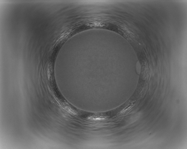 X0000059070747200510101050