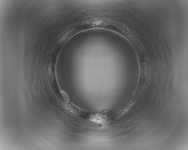 X0000059070754200510101050