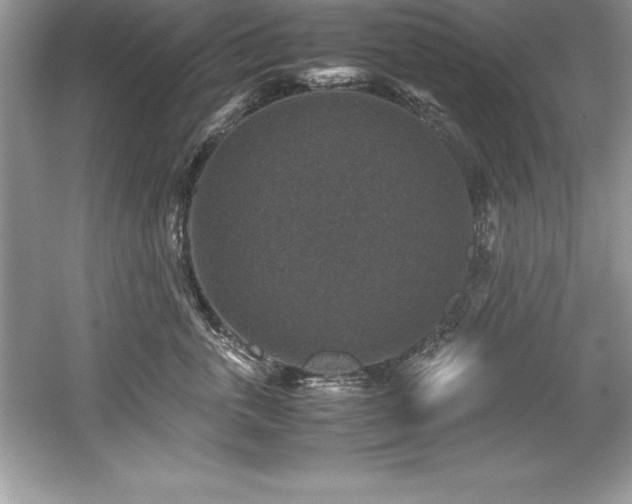 X0000059070763200510101050