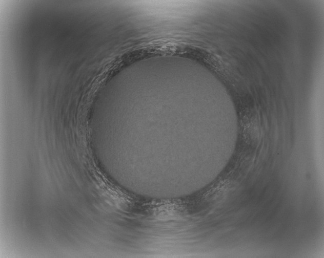 X0000059070769200510101050