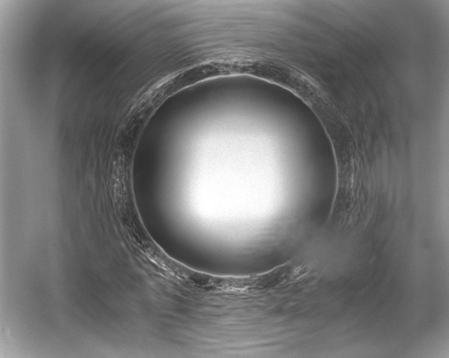 X0000059070773200510101050