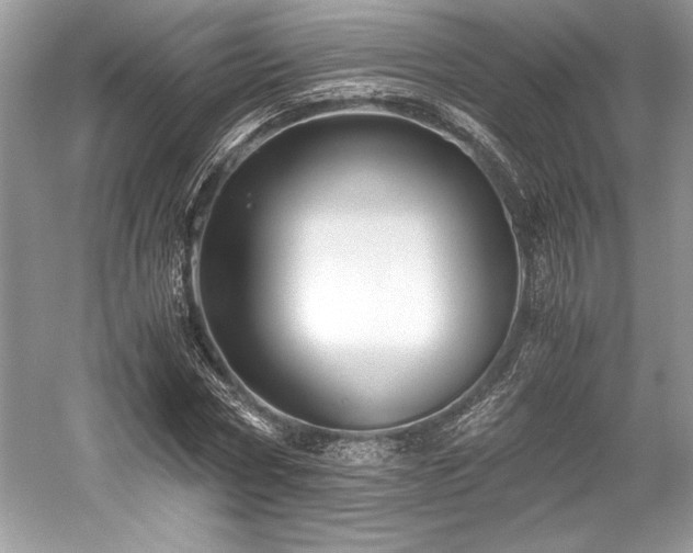 X0000059070778200510101050