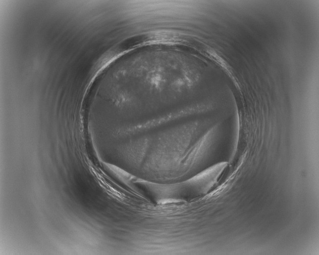 X0000059070779200510101050