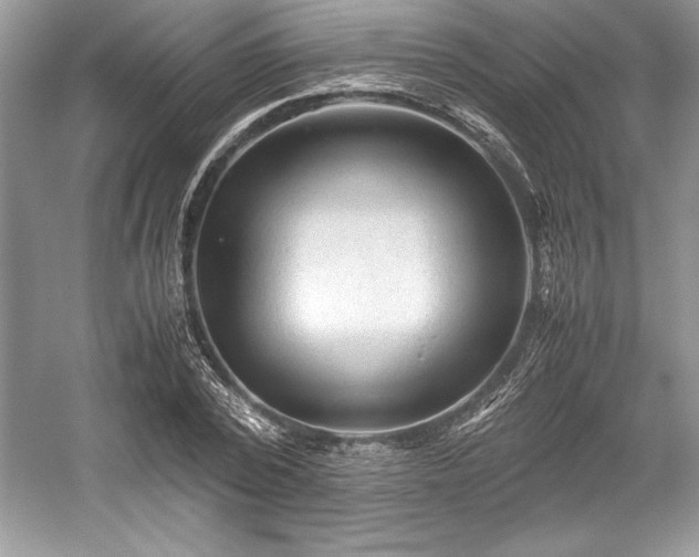 X0000059070784200510101049