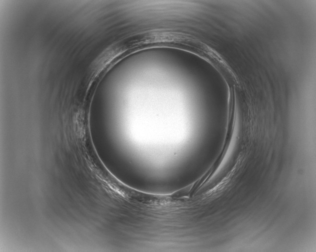 X0000059070786200510101049