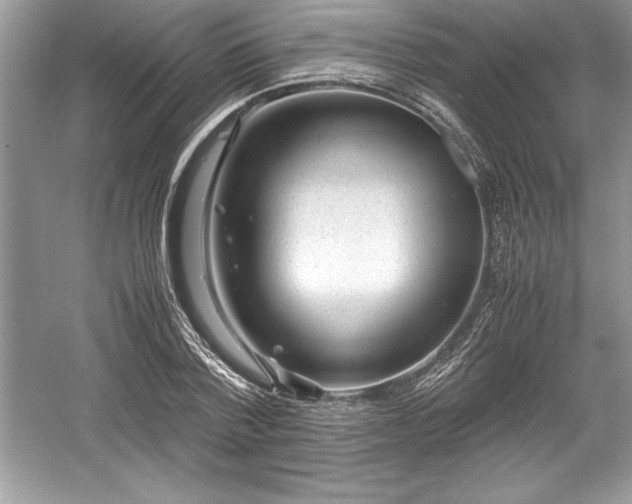 X0000059070788200510101049