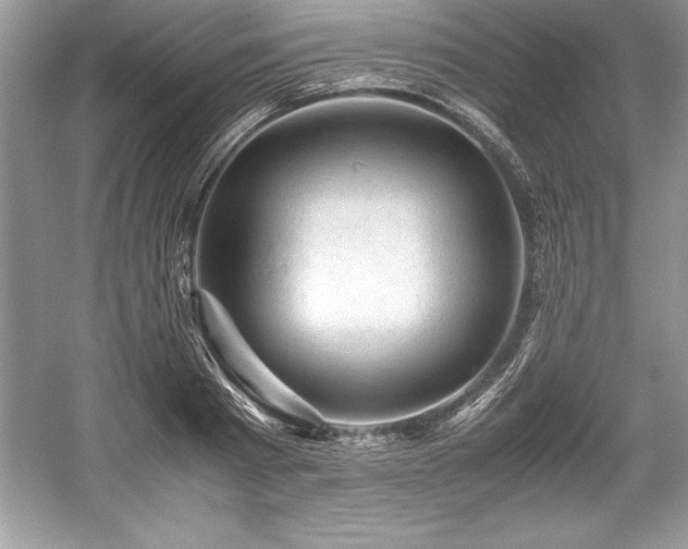 X0000059070793200510101049