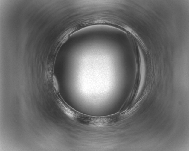 X0000059070801200510101049
