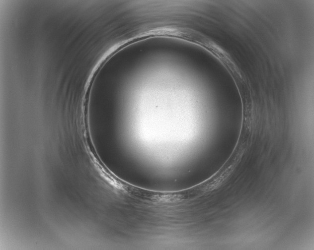 X0000059070808200510101049