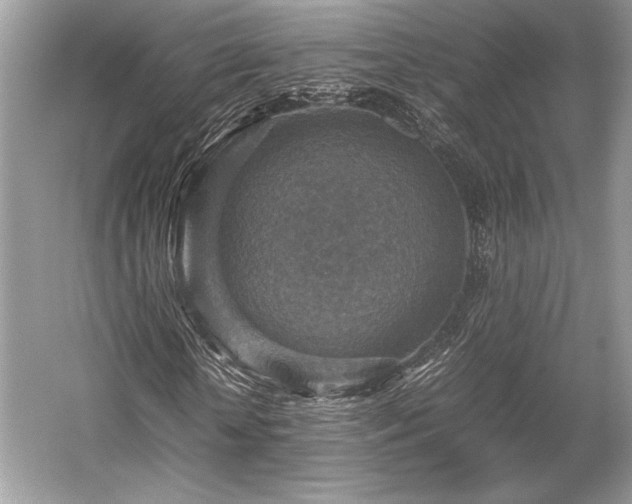 X0000059070818200510101048