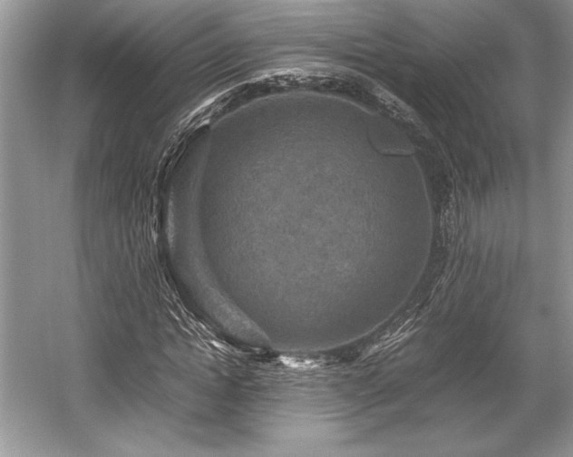 X0000059070822200510101048