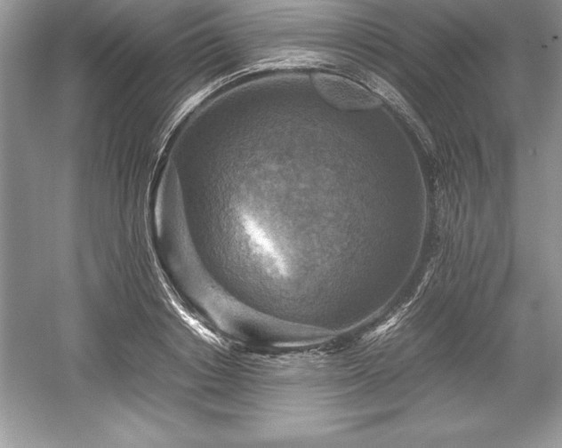 X0000059070842200510101048