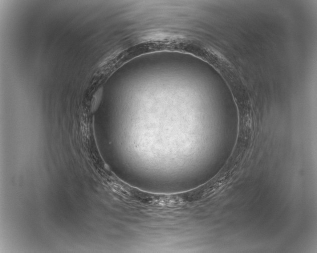 X0000059070869200510101048