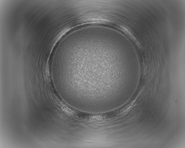 X0000059070883200510101048