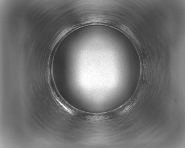 X0000059070890200510101048
