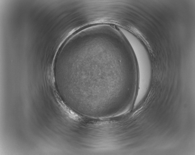 X0000059070892200510101048