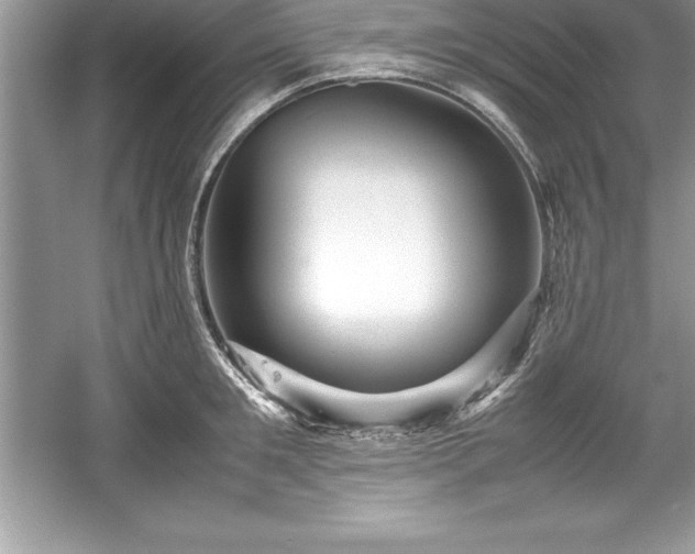 X0000059070901200510101047