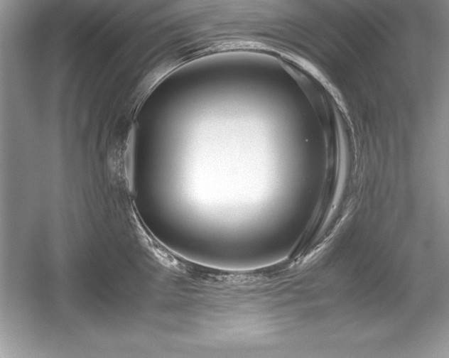 X0000059070905200510101047