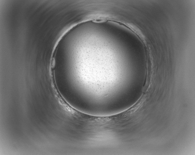 X0000059070912200510101047