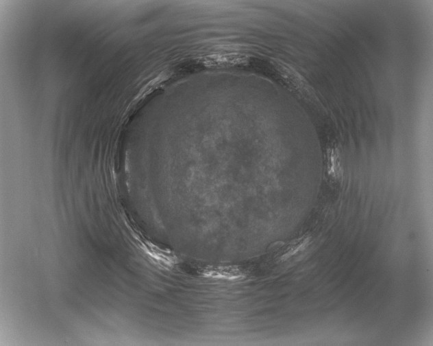 X0000059070915200510101046