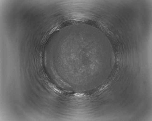 X0000059070916200510101046