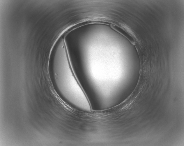 X0000059070932200510101046