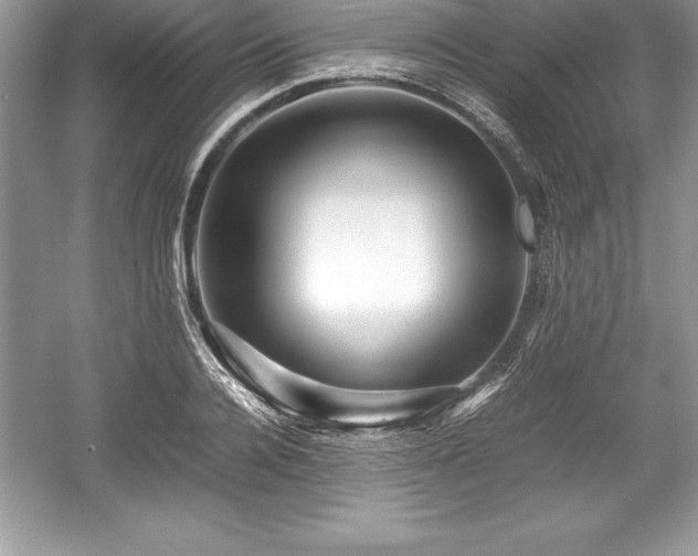 X0000059070936200510101046
