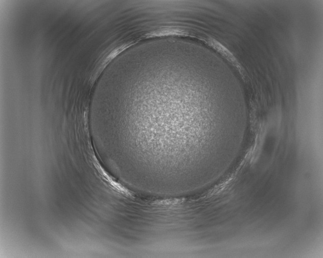 X0000059070937200510101046