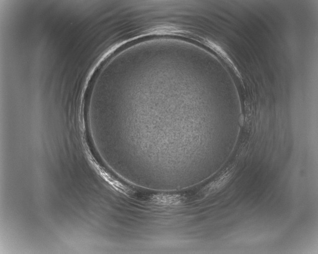 X0000059070939200510101047