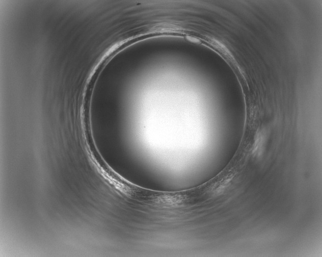 X0000059070947200510101047