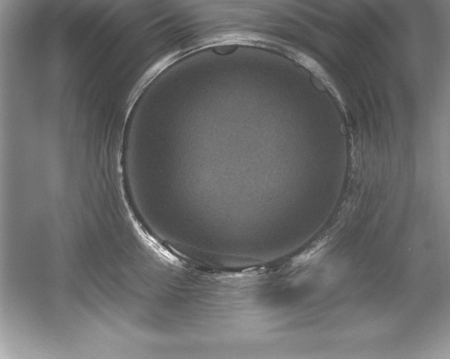 X0000059070954200510101047