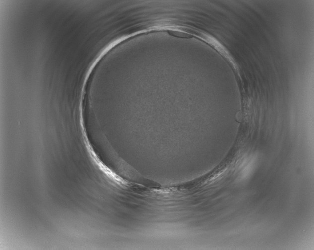 X0000059070955200510101047