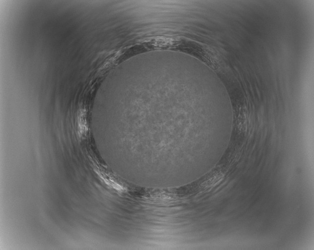 X0000059070962200510101046