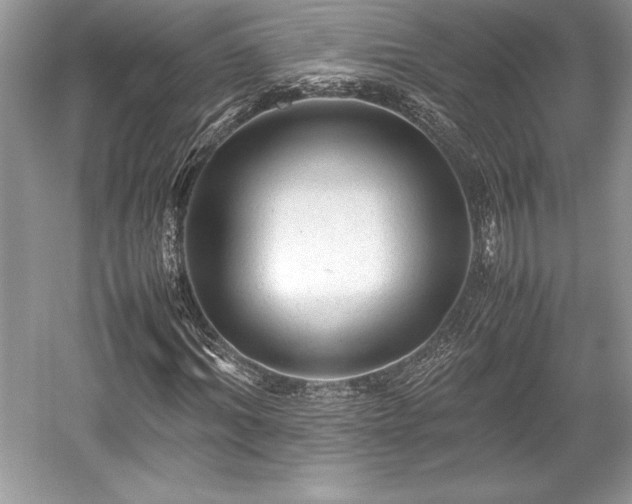 X0000059070964200510101046