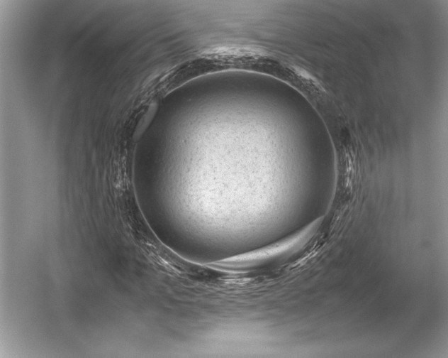 X0000059070965200510101046