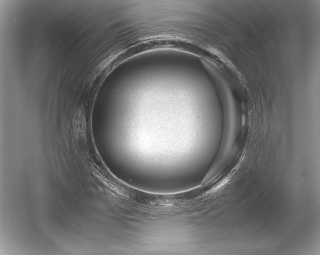 X0000059070969200510101046
