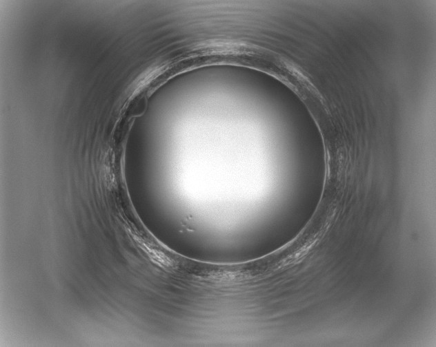 X0000059070970200510101046
