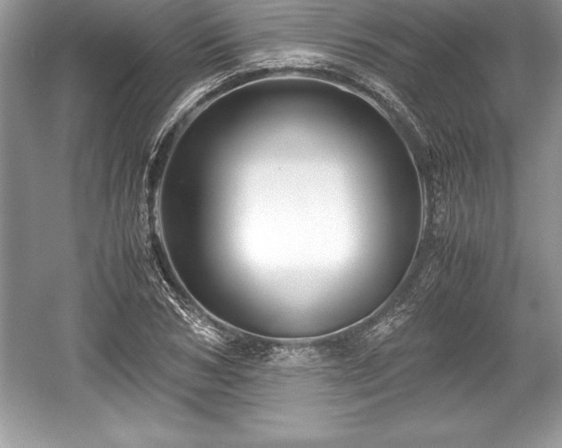 X0000059070978200510101046