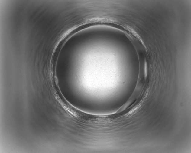 X0000059070981200510101046