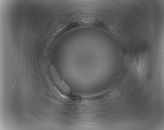 X0000059071009200510101044