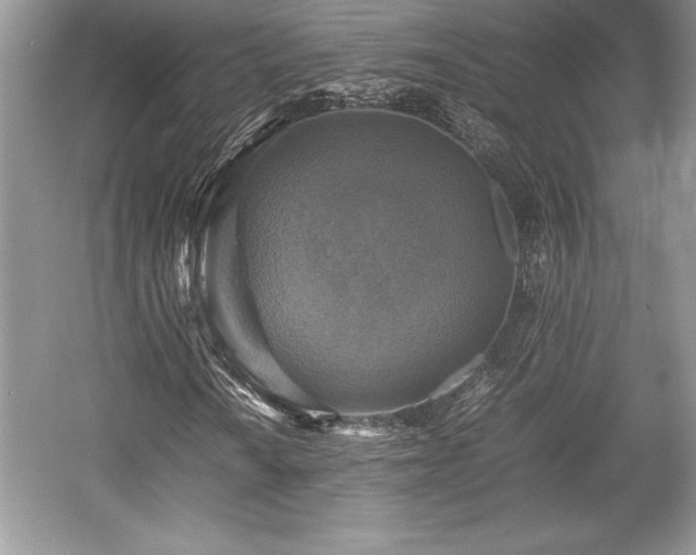 X0000059071010200510101044